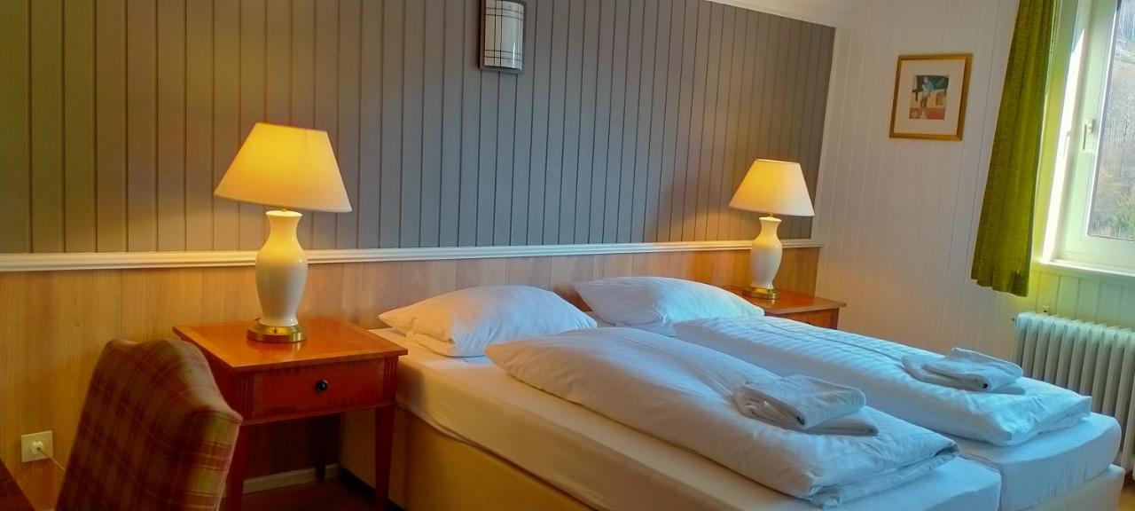Waldhaus Im Okertal Hotel Goslar Luaran gambar