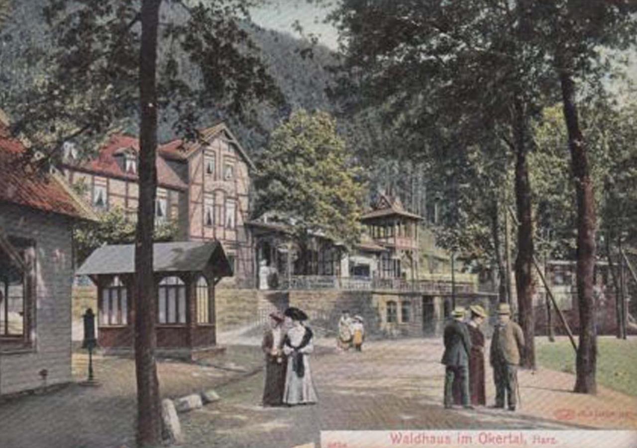 Waldhaus Im Okertal Hotel Goslar Luaran gambar
