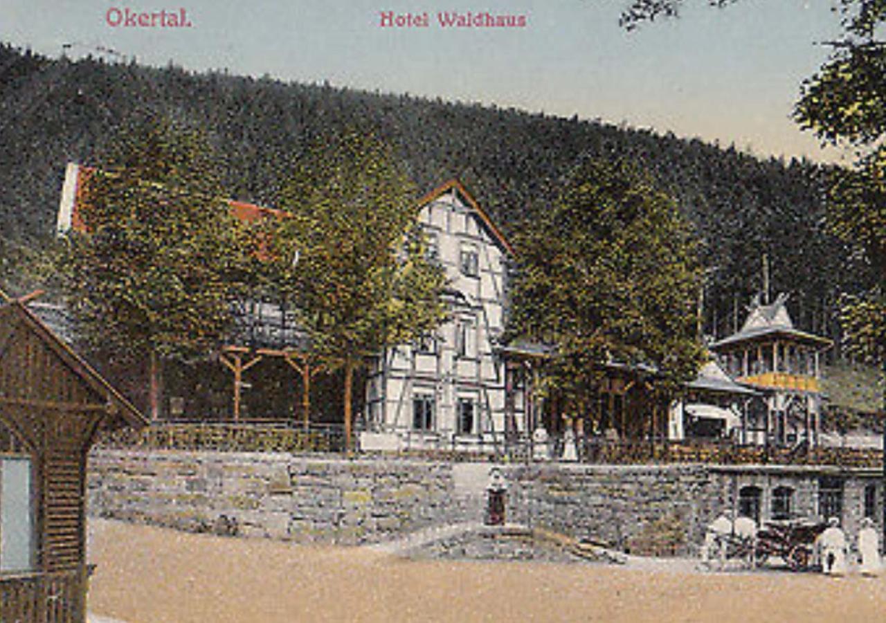 Waldhaus Im Okertal Hotel Goslar Luaran gambar